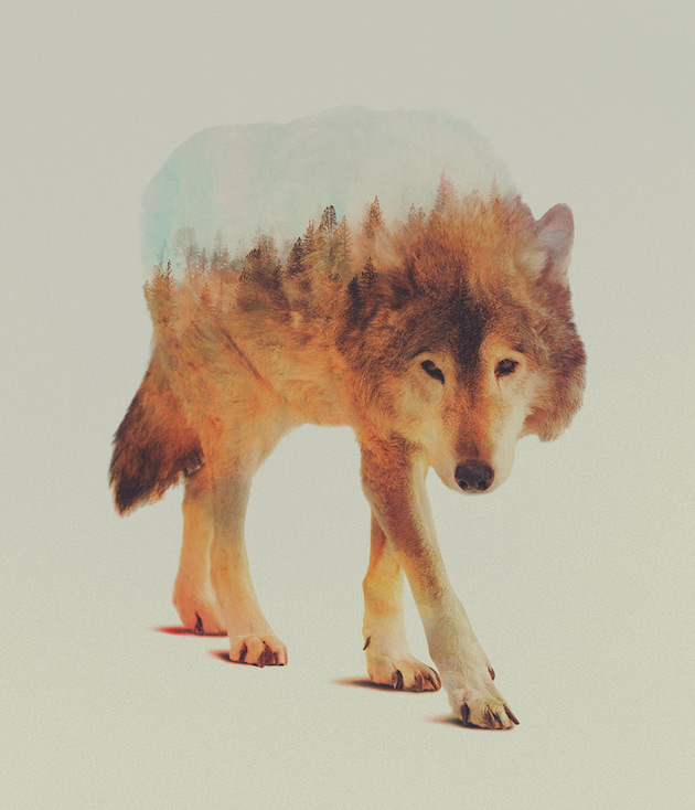 DoubleExposureAnimals_feeldesain_02