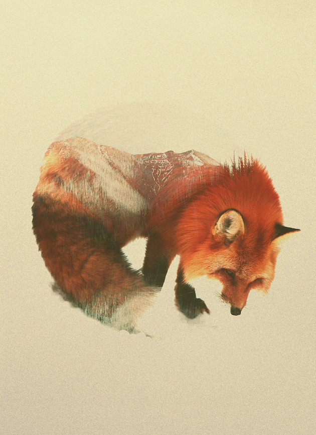 DoubleExposureAnimals_feeldesain_03