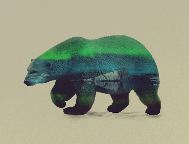 DoubleExposureAnimals_feeldesain_05