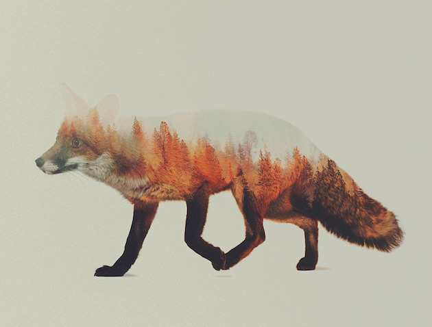 DoubleExposureAnimals_feeldesain_07