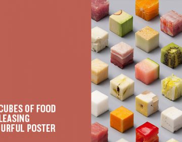 The Food Cube Poster | Lernert & Sander
