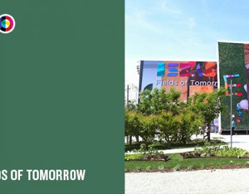 A Milan Expo pavilion every day | Day 40: Israel