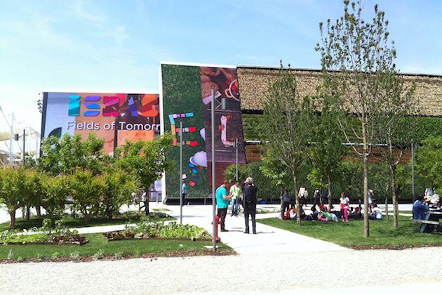 ExpoIsrael_feeldesain_09