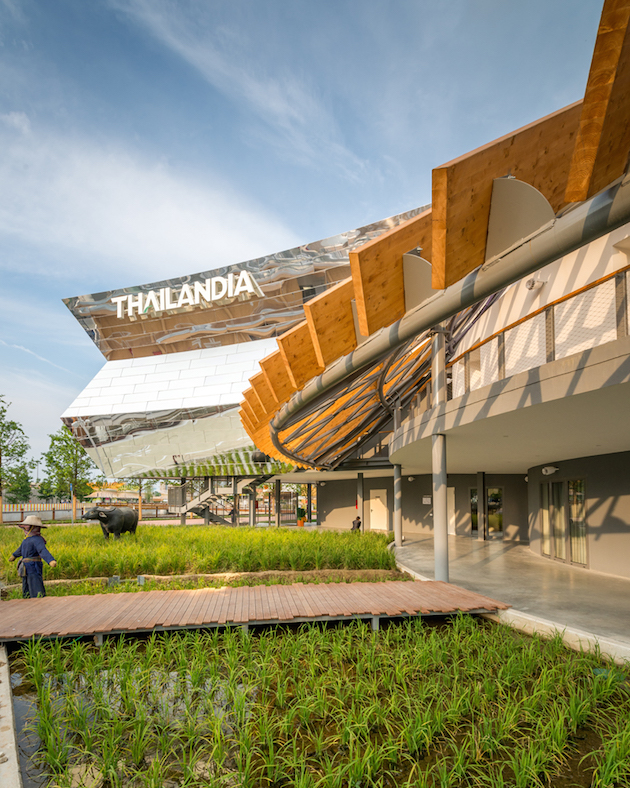 ExpoThailandia_feeldesain_15