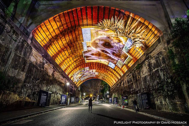 VividSydney_feeldesain_13