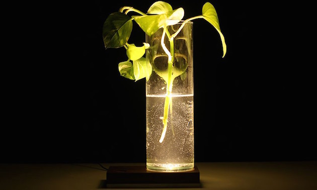 Baselamp - Feel Desain7