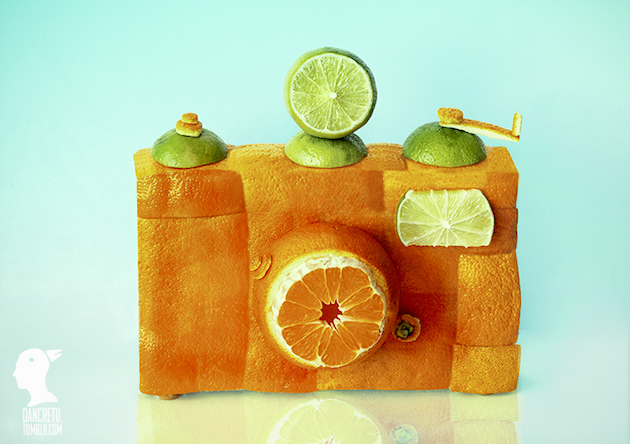Eco Art feeldesain Dan Cretu 02