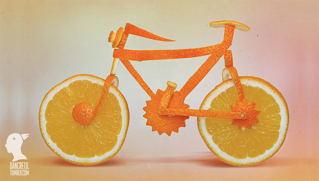 Eco Art feeldesain Dan Cretu 07