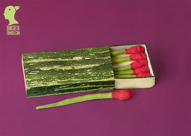 Eco Art feeldesain Dan Cretu 08