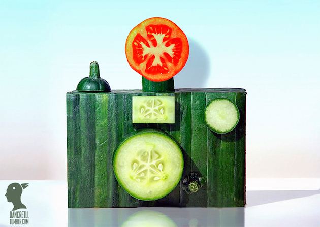 Eco Art feeldesain Dan Cretu 11