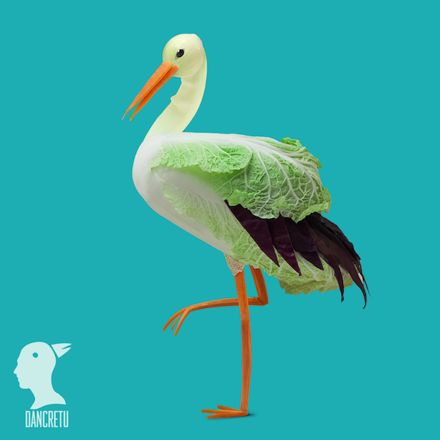 Eco Art feeldesain Dan Cretu 13