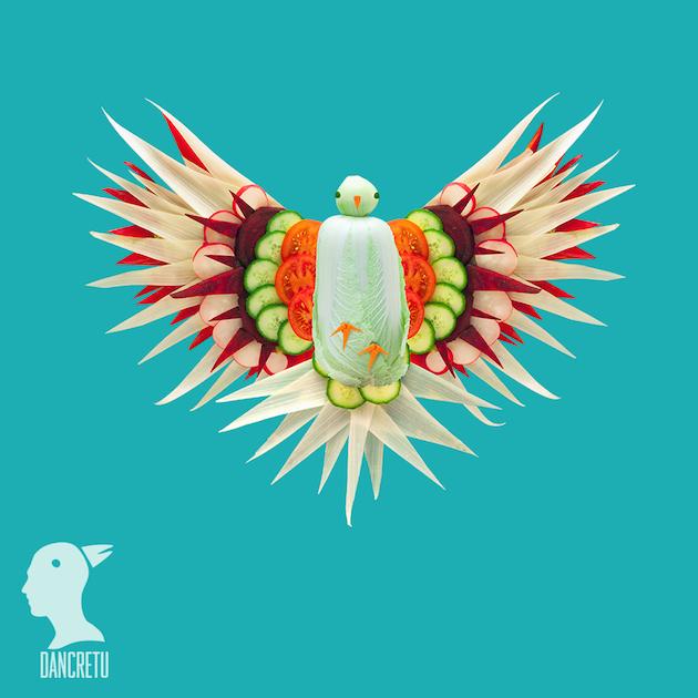 Eco Art feeldesain Dan Cretu 14