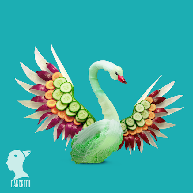 Eco Art feeldesain Dan Cretu 15