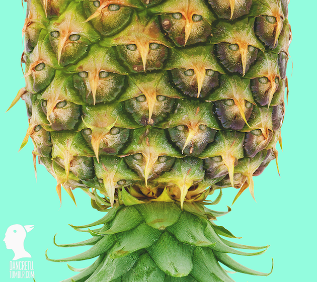 Eco Art feeldesain Dan Cretu 22