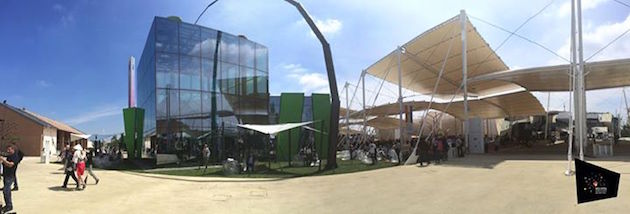 ExpoMoldova_feeldesain_05