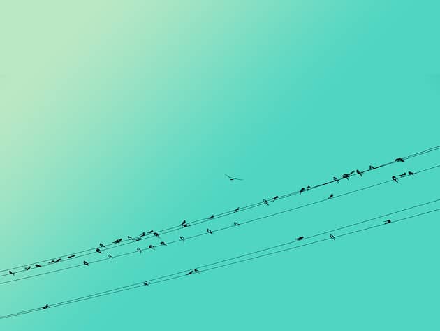 MinimalPure_feeldesain_08