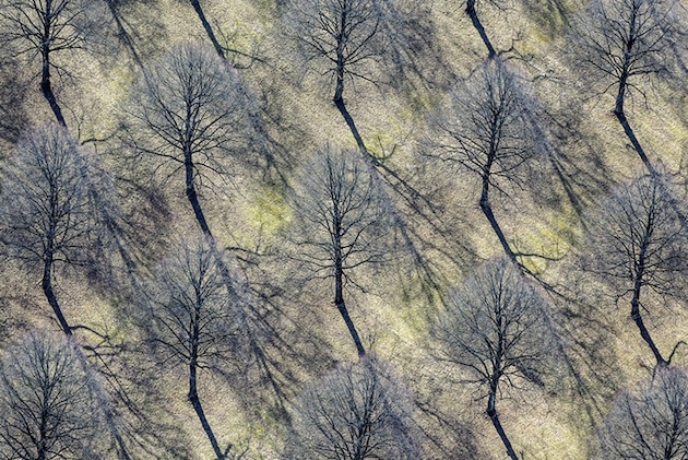 Aerial_feeldesain_17