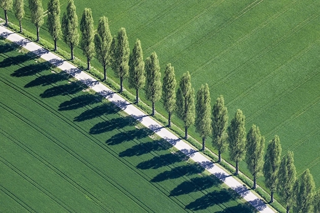 Aerial_feeldesain_21