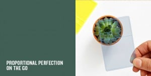 The Golden Section Finder | Parsons & Charlesworth