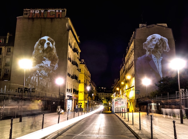 Urban Safari feel desain Julien Nonnon 13