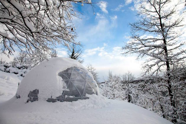 GArdenIgloo_feeldesain_10