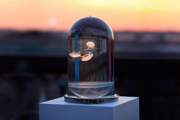 DarwinTankJellyfish_FeelDesain_03