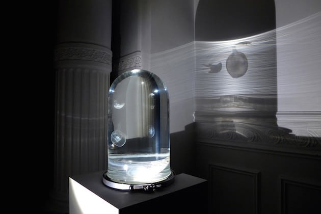 DarwinTankJellyfish_FeelDesain_07