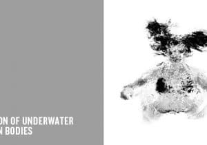 FROZEN BODIES | OLIVE SANTAOLORIA