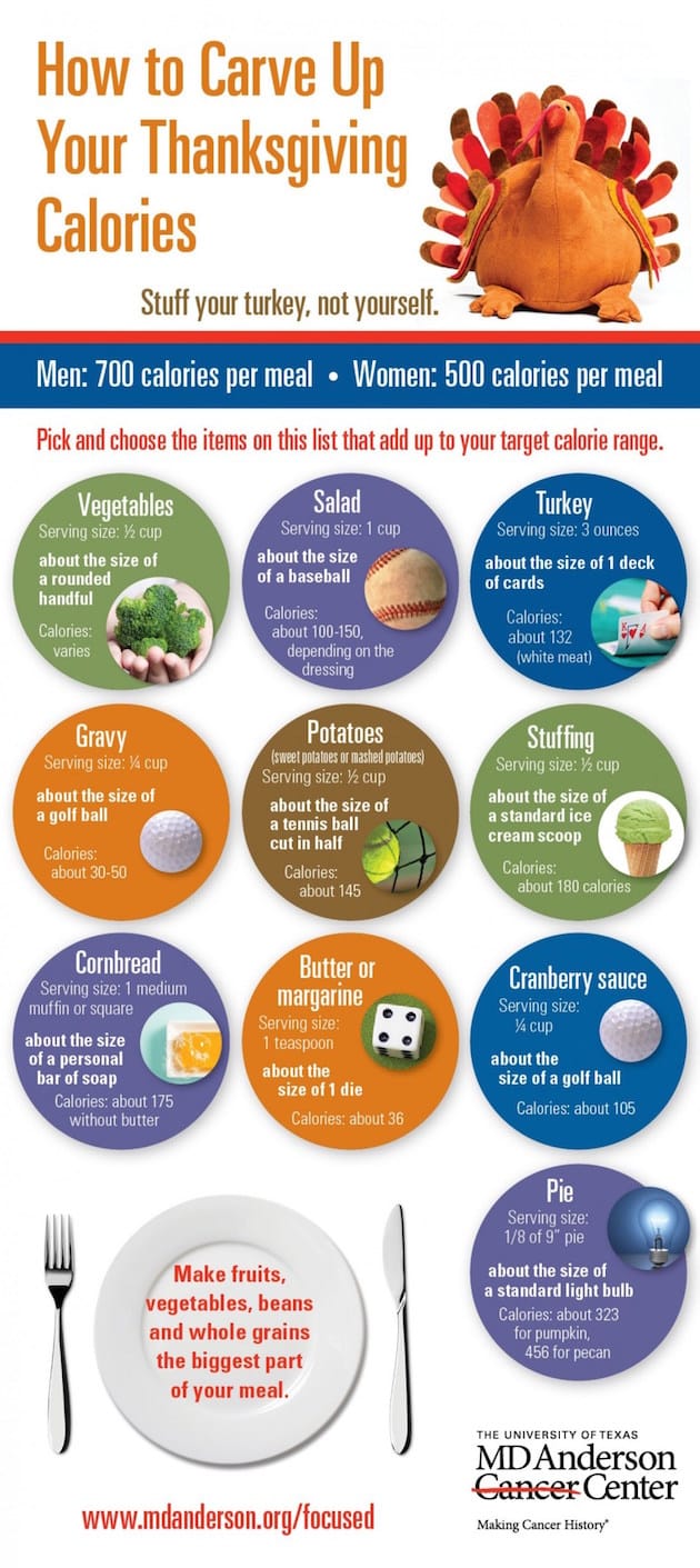 infographic_Food_FeelDesain_03