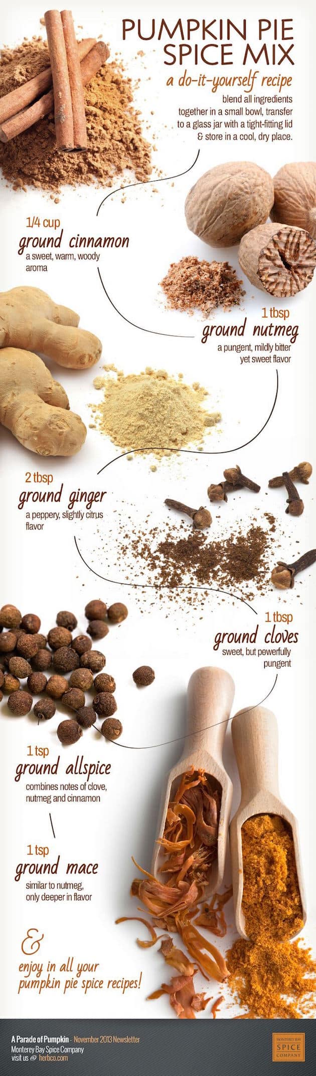 infographic_Food_FeelDesain_06