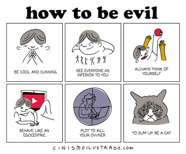 CinismoIlustrado_feeldesain_11