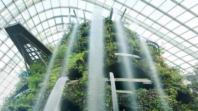 SupertreeGrove_FeelDesain_02