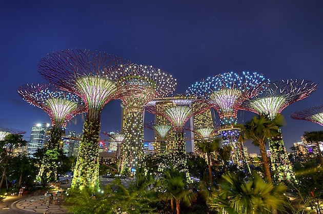 SupertreeGrove_FeelDesain_10