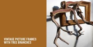 Tree Branches Picture Frames | Darryl Cox