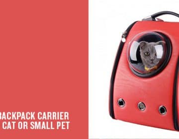 BAckpack for your pet | U-Pet