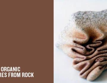 Organic Rocks | José Manuel Castro López