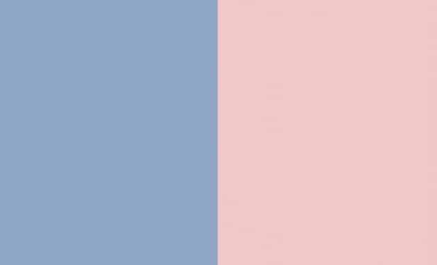 rose-quartzPantone_FeelDesain_02