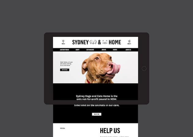 sdch_Website