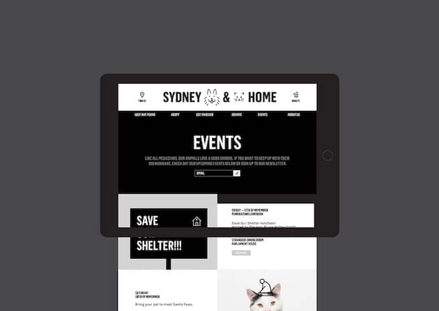 sdch_Website