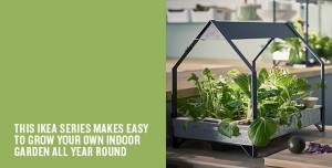Indoor Gardening Series | IKEA – Feel Desain | your daily dose of ...
