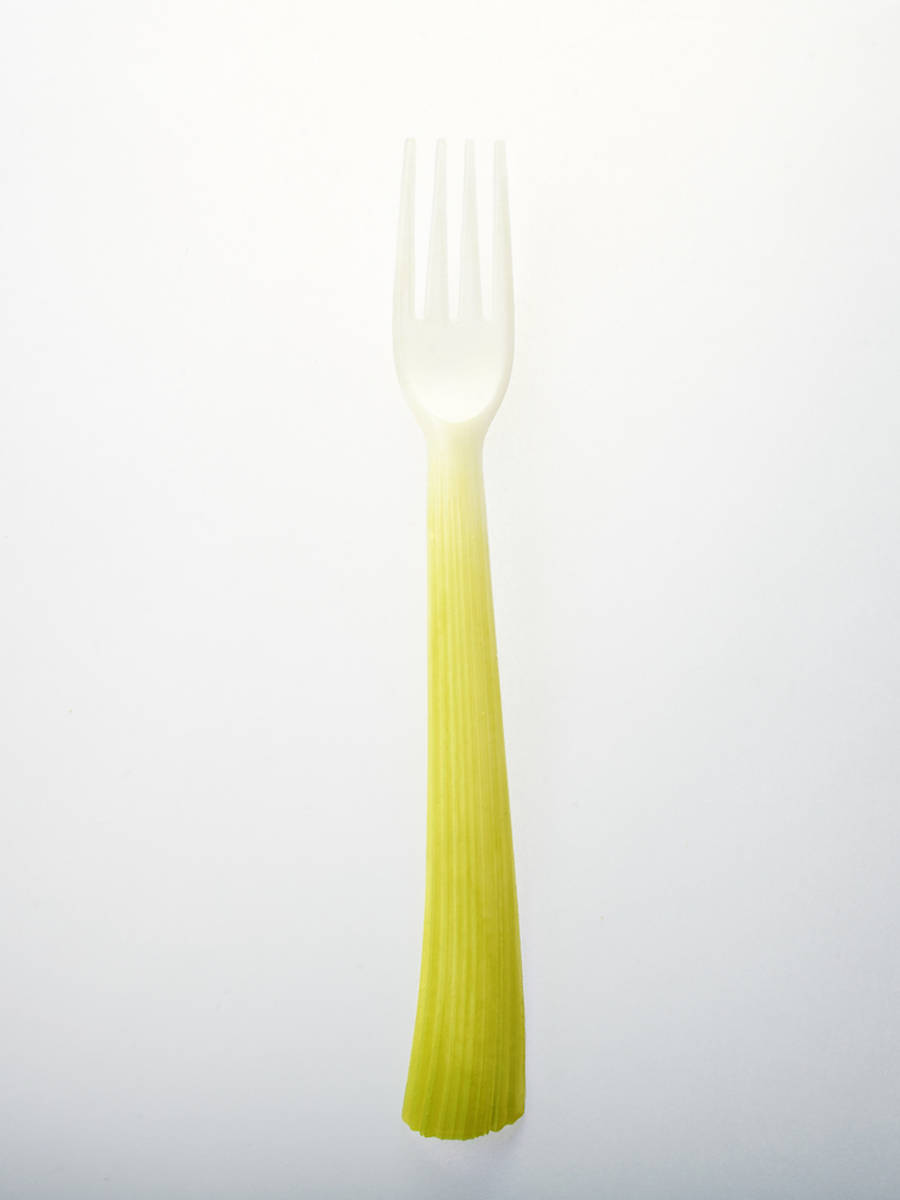 petalsplantsinspiredcutlery-4-900x1200