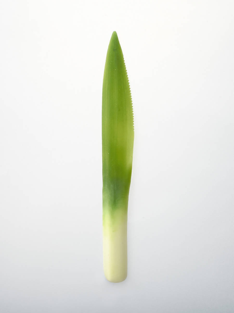 petalsplantsinspiredcutlery-6-900x1200