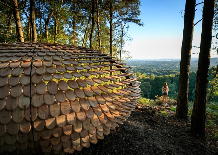 perspectives-pavilion-giles-miller-2