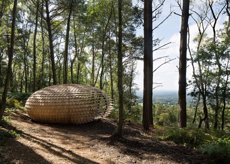 perspectives-pavilion-giles-miller-4