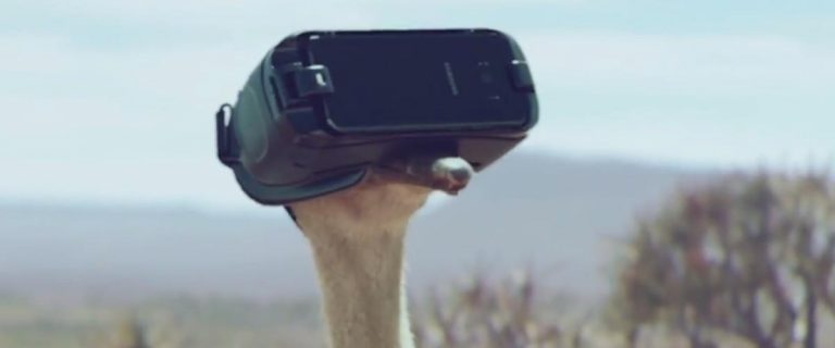 Watch An Ostrich Try To Fly