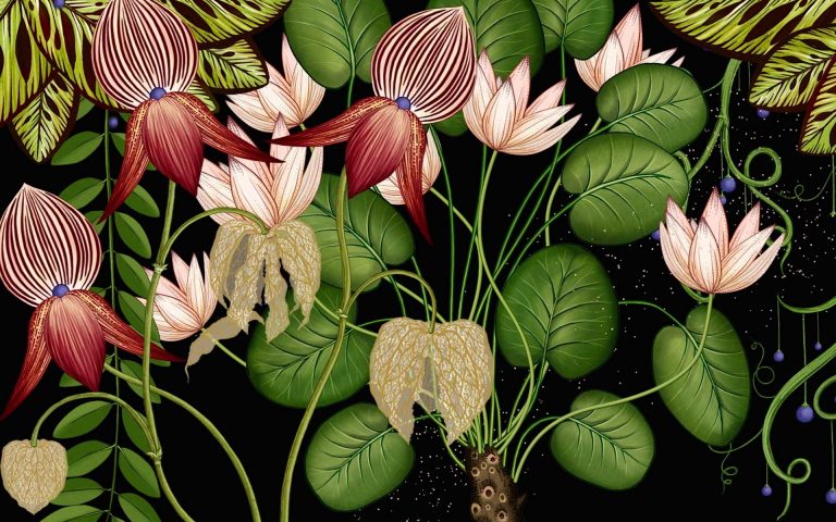 A beautiful subtle animation by illustrator Katie Scott