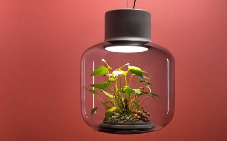 The Mygdal Plant Lamps is both a light and a plant