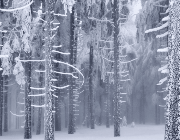 Winter’s tale in new photographs by Kilian Schönberger