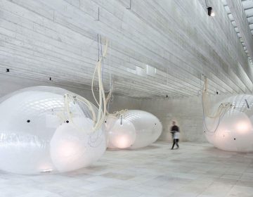 The Nordic Pavilion presents “Another Generosity” at the Venice Biennale