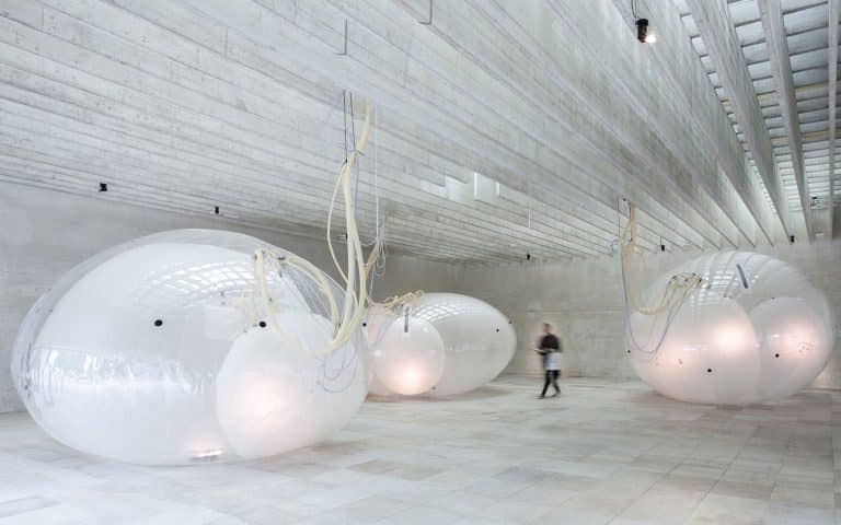 The Nordic Pavilion presents “Another Generosity” at the Venice Biennale